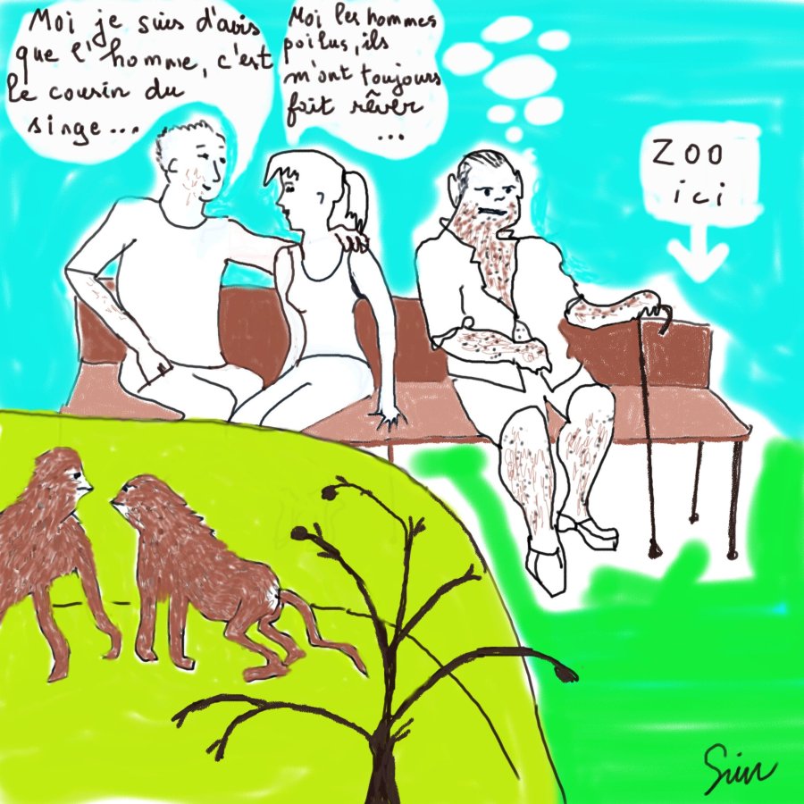 BD : Zoo : Singes