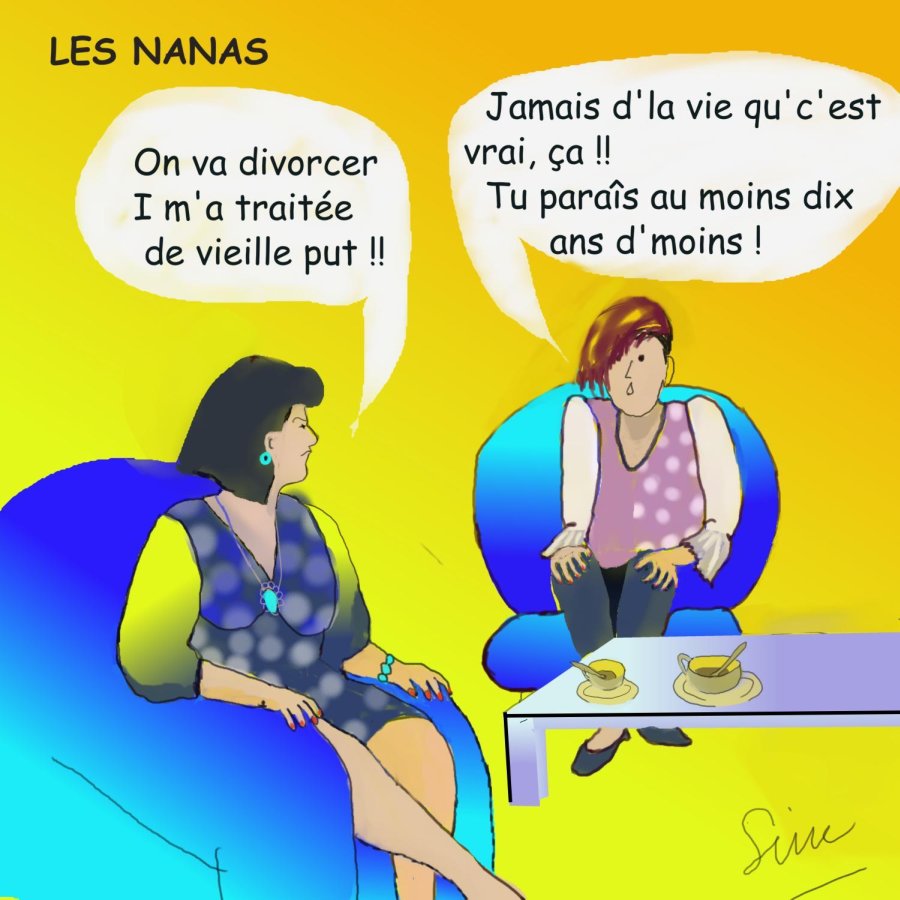 BD - Les Nanas - Le divorce